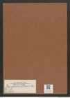 Plagiogramma spectabile Grev. (de-Toni-Nr.: Genus 83, Species 2936) Zeichnungen Sammlung Grunow Mappe 03105 (Herbarium_W_Grunow_drawings_Folder_03105)